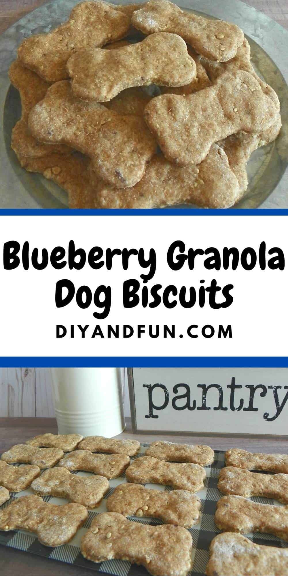 Blueberry Granola Dog Biscuits