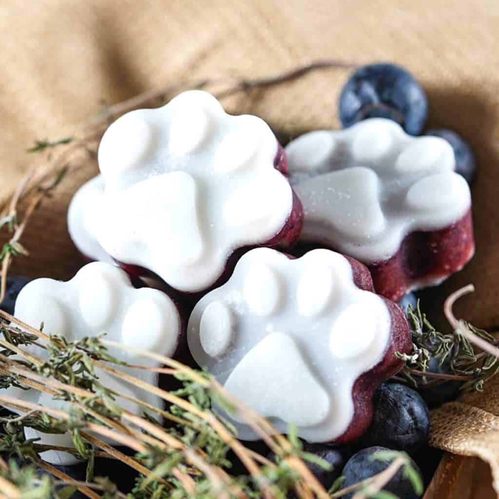 Blueberry and Thyme Dog Treats
