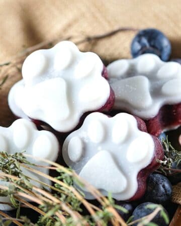 Blueberry and Thyme Dog Treats