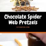 Chocolate Spider Web Pretzels