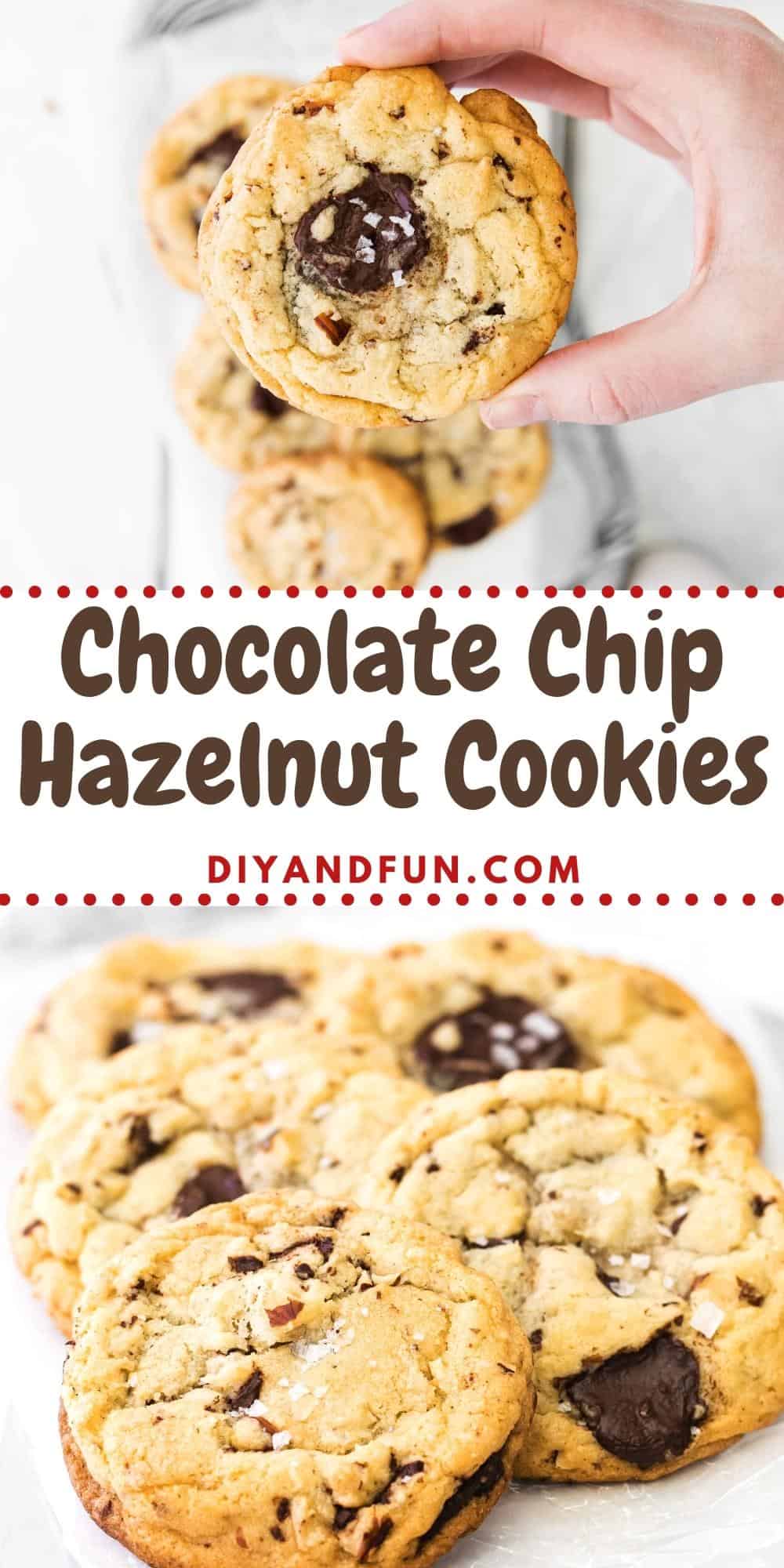 Chocolate Chip Hazelnut Cookies, A tasty homemade cookie recipe featuring chocolate chips and chunks with hazelnuts.