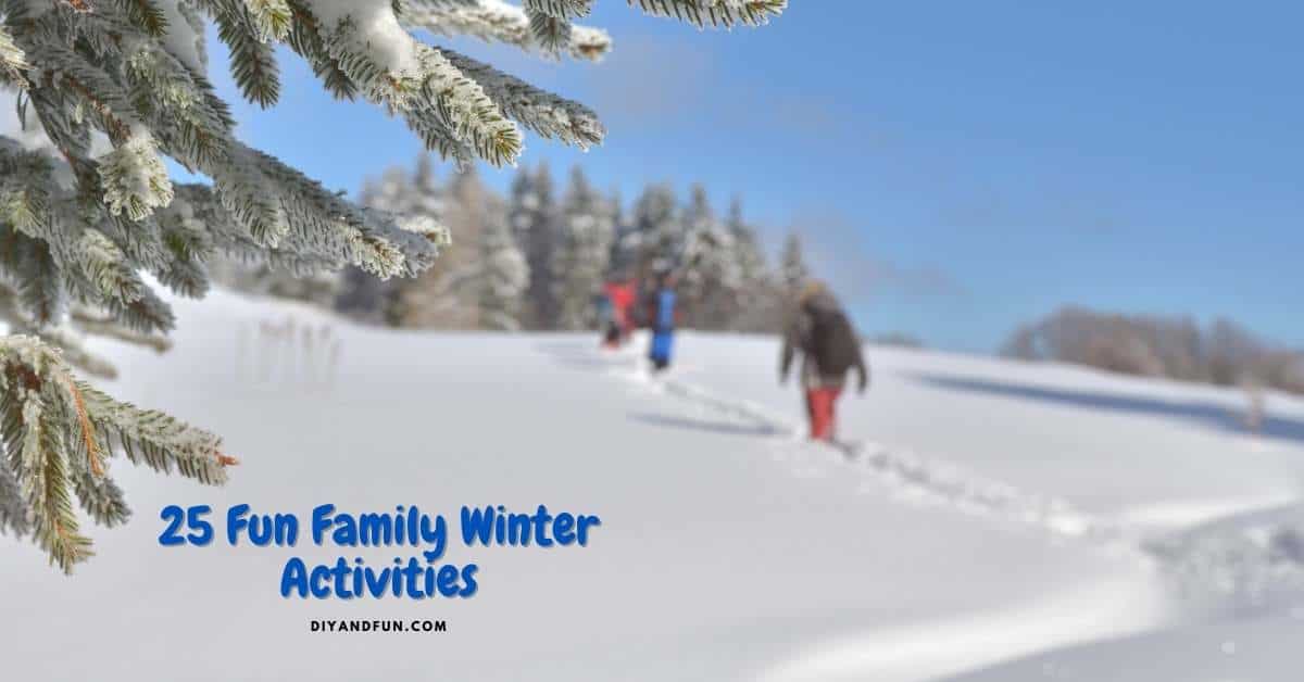 25 Fun Family Winter Activities , a listing of inexpensive and fun family friendly ideas to enjoy during the winter season. 