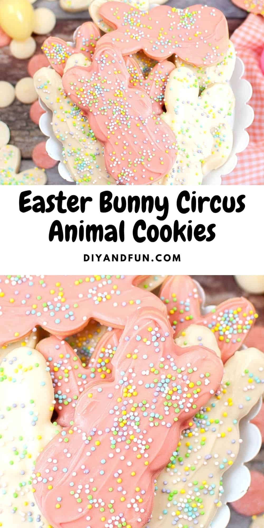 Easter Bunny Circus Animal Cookies, a tasty and easy recipe for chocolate coated cookies with an Easter spring theme.
