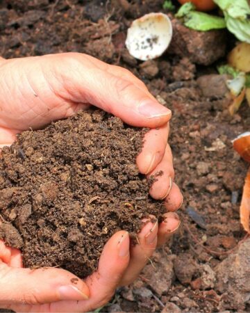 How to Make a Compost Bin