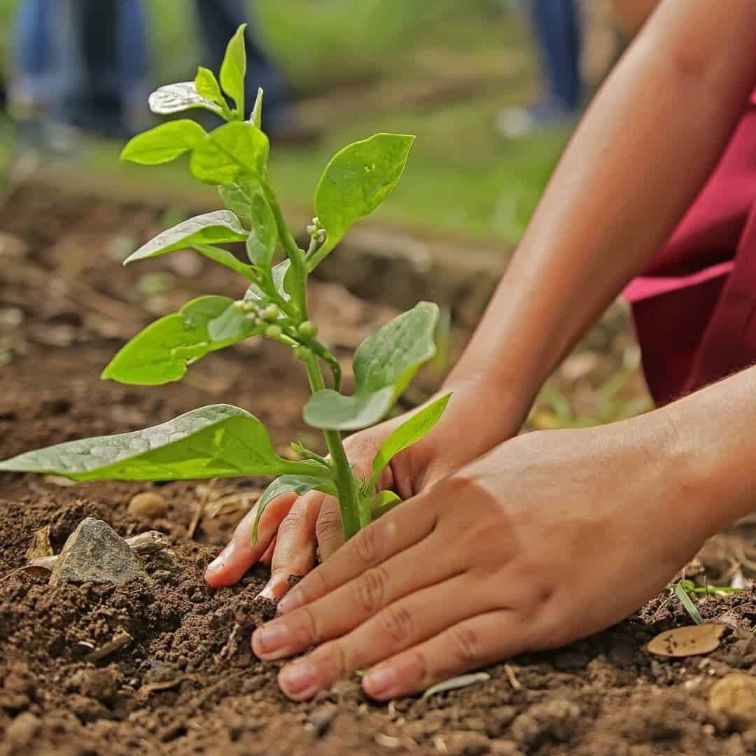 Environmental Issues for Kids, simple ideas for introducing children to the earth and how they can appreciate the planet.