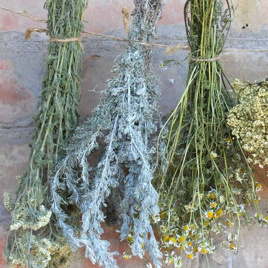 How to Preserve Herbs, a simple guide for preserving herbs grown in the garden for later use in recipes and more.