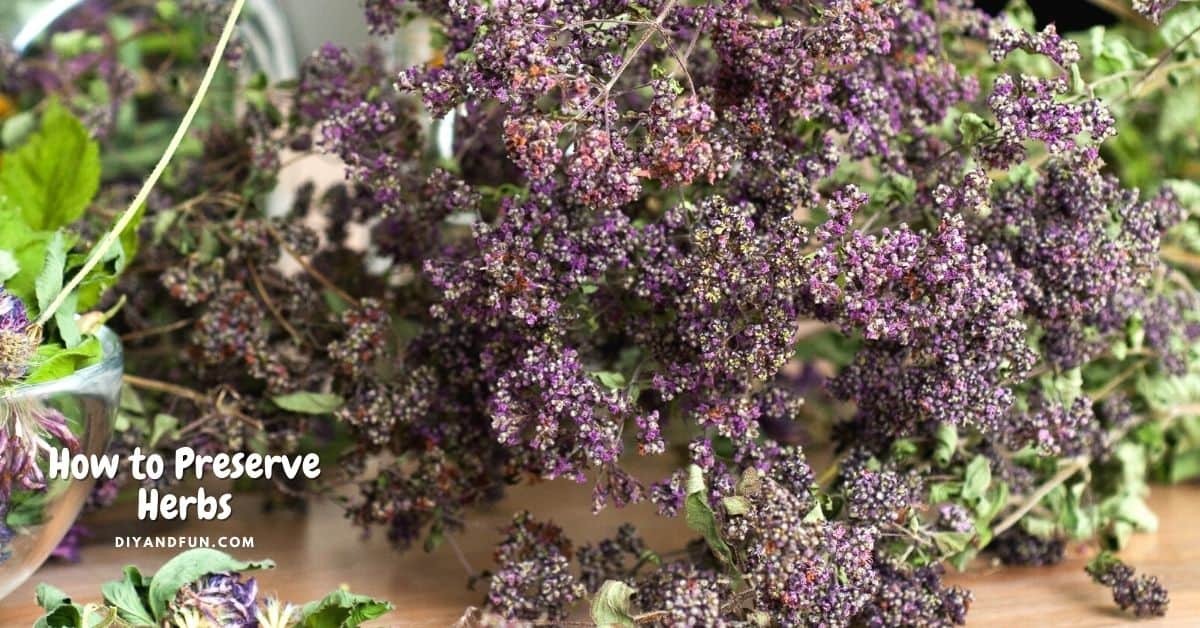 How to Preserve Herbs, a simple guide for preserving herbs grown in the garden for later use in recipes and more.