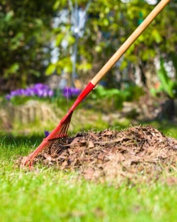 Spring Garden Chores and Checklist