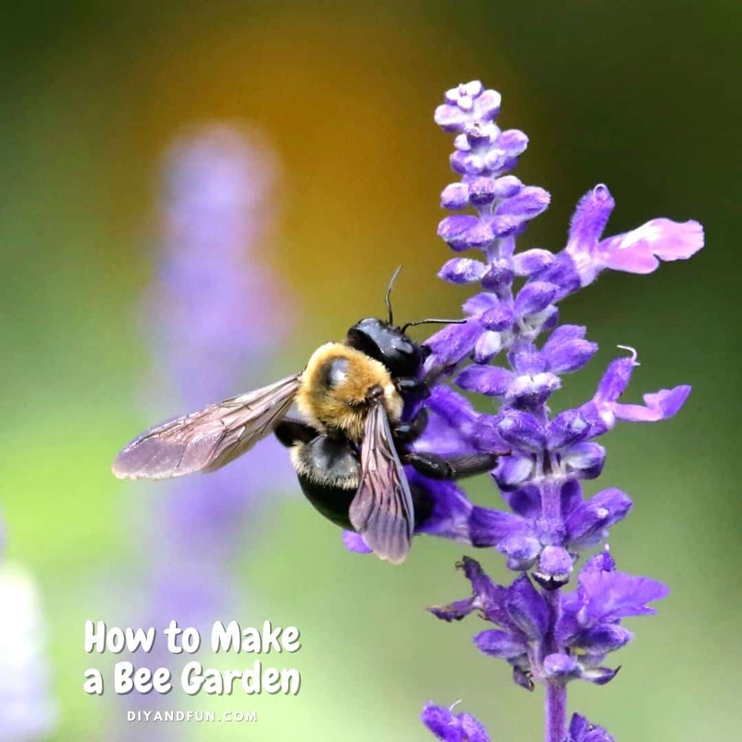 How to Make a Bee Garden, simple instructions for making a bee friendly location in your yard for pollinators such as bees.