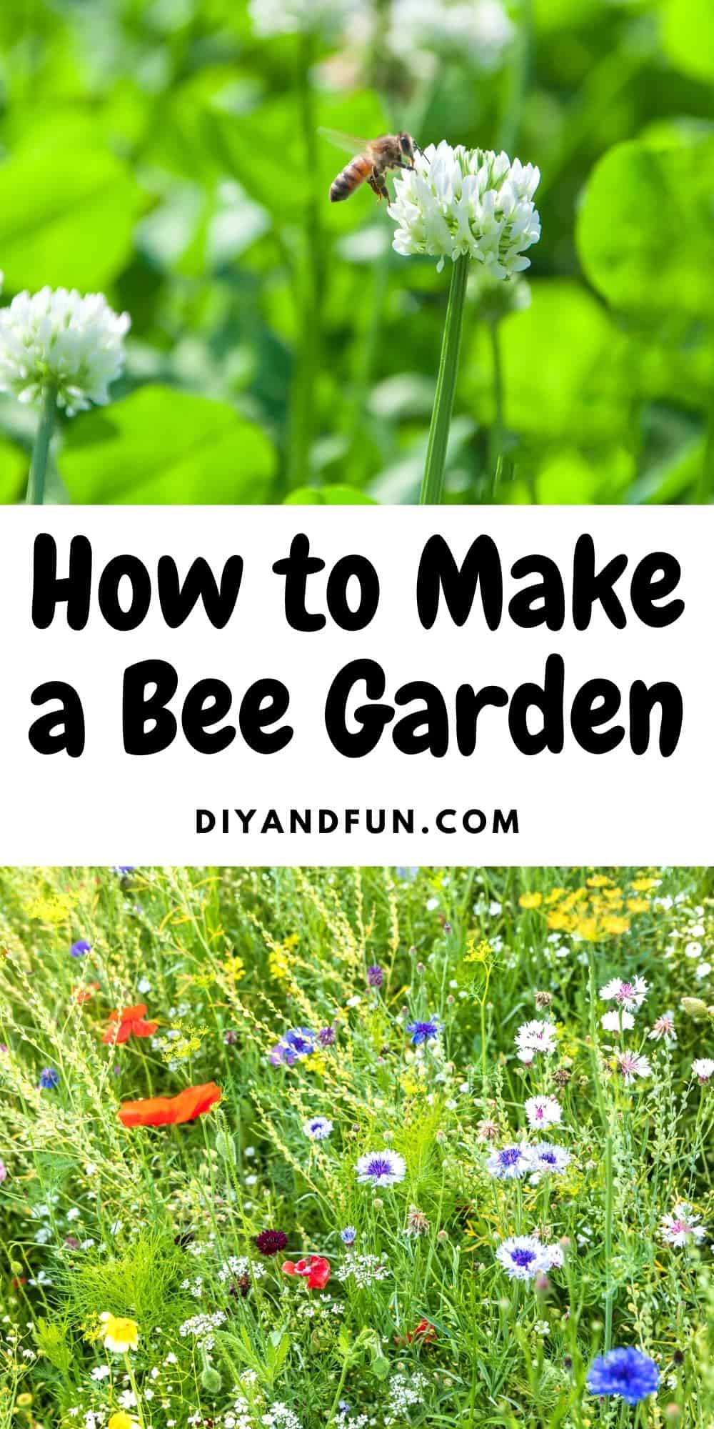 How to Make a Bee Garden, simple instructions for making a bee friendly location in your yard for pollinators such as bees.