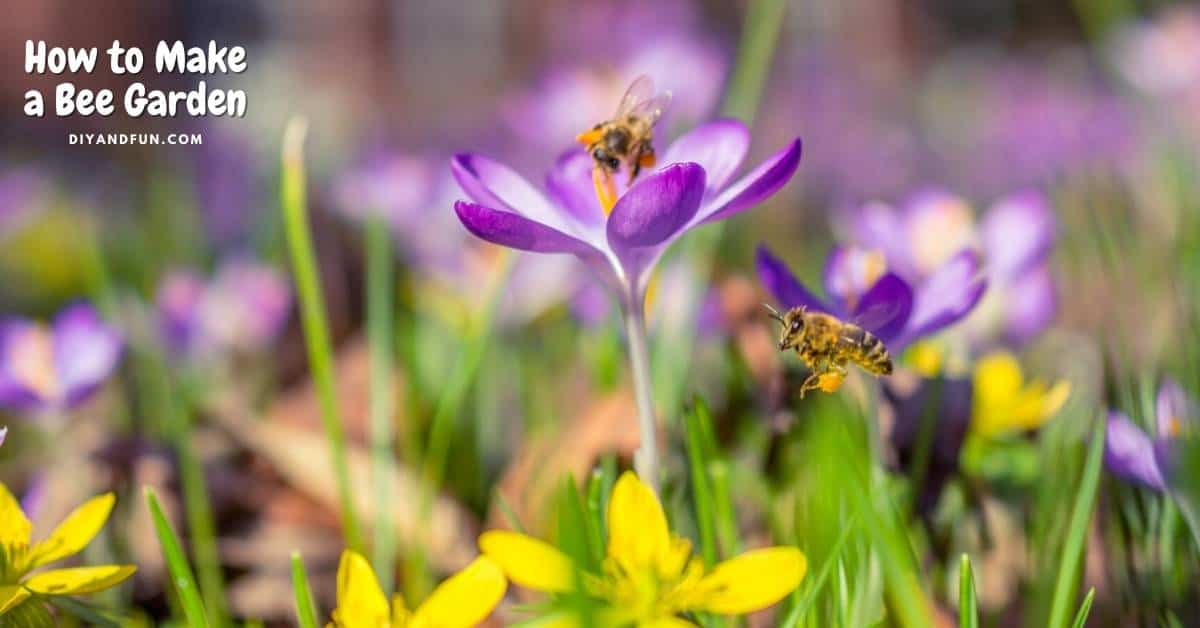 How to Make a Bee Garden, simple instructions for making a bee friendly location in your yard for pollinators such as bees.