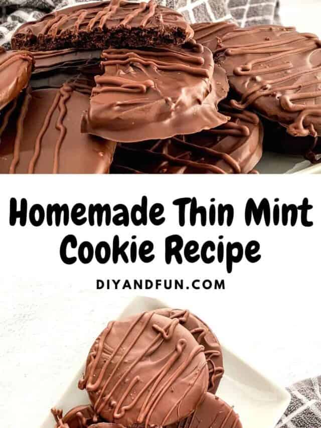 Homemade Thin Mint Cookie Recipe