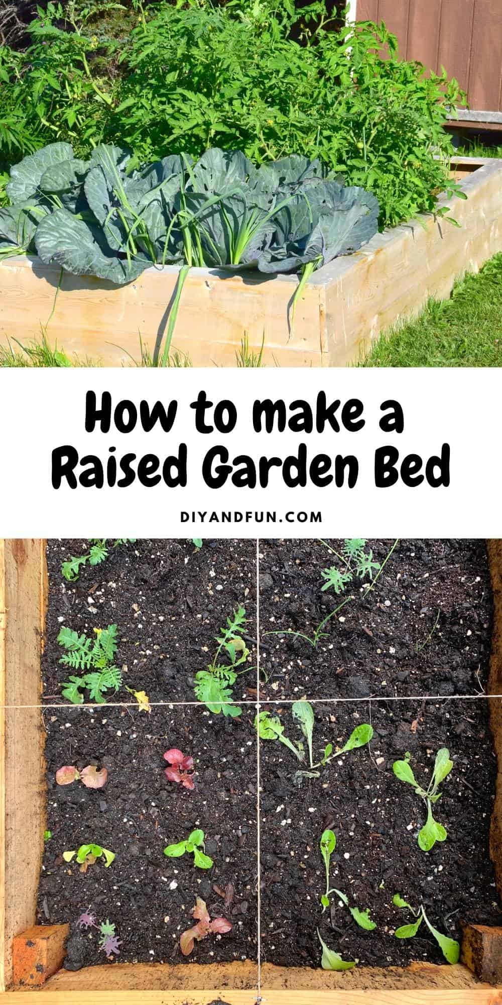 How to make a Raised Garden Bed, a beginners guide to making an inexpensive garden bed for vegetables and plants.