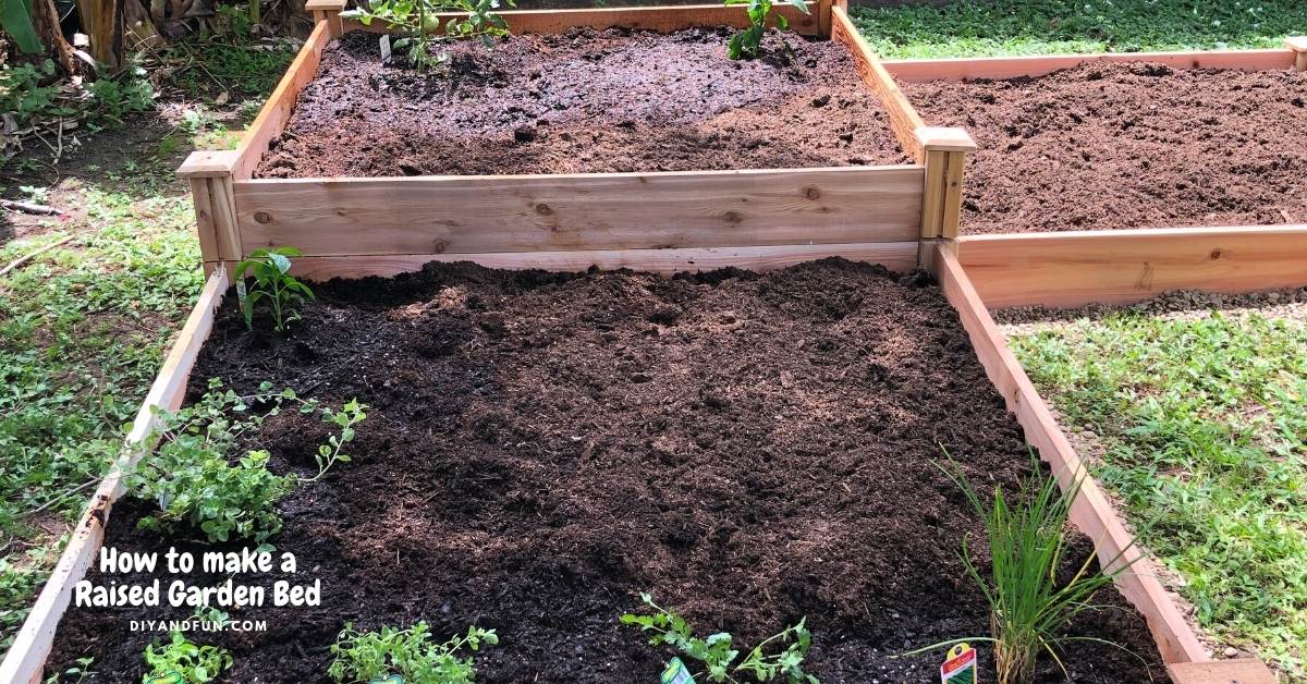How To Make A Raised Garden Bed Diy And Fun