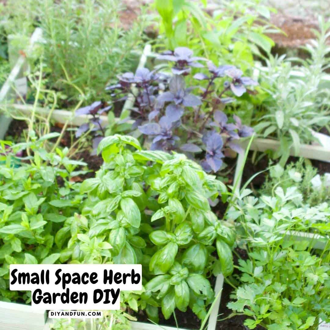 How to build a Small Space Herb Garden DIY, Easy to follow directions for a homemade do it yourself garden for herbs in a small space.