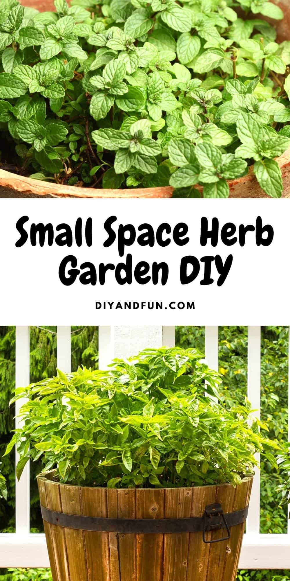 How to build a Small Space Herb Garden DIY, Easy to follow directions for a homemade do it yourself garden for herbs in a small space.