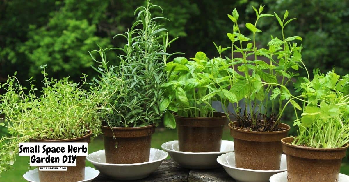 How to build a Small Space Herb Garden DIY, Easy to follow directions for a homemade do it yourself garden for herbs in a small space.