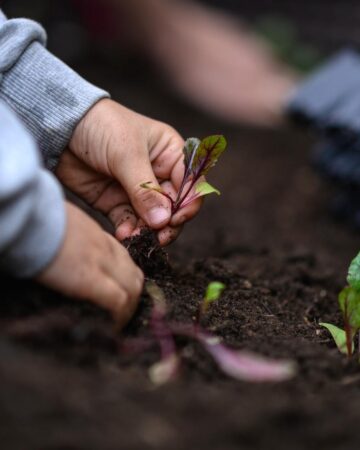 Vegetable Gardening with Kids