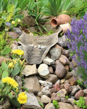 How to Build a Rock Garden