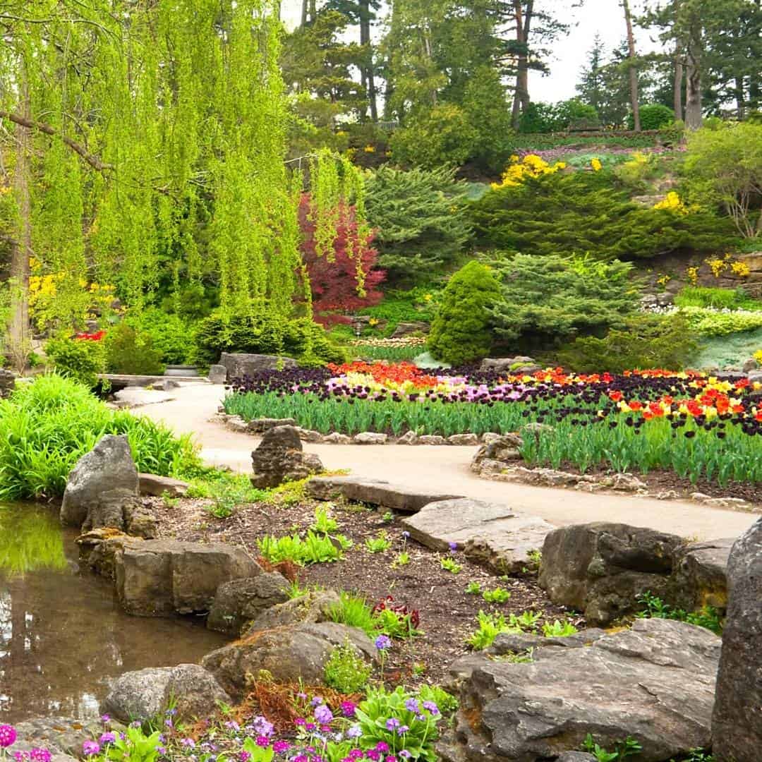 How to Build a Rock Garden, a simple guide for beginners wanting to construct a basic and attractive rock garden.