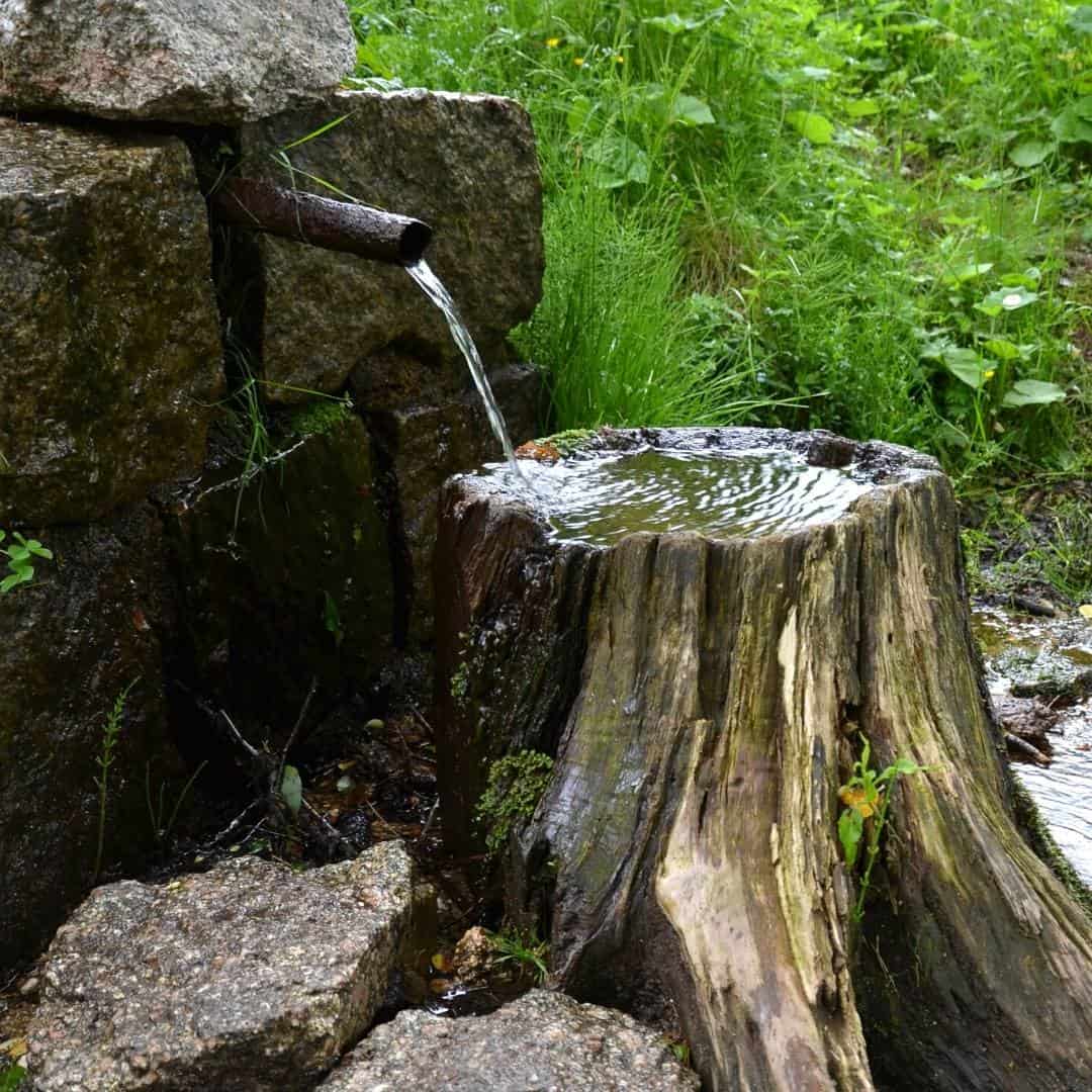 creative things to do with tree stumps        
        <figure class=