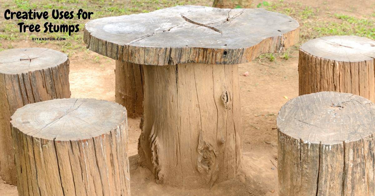 Creative Uses for Tree Stumps, 12 of the best creative uses for tree stumps that can turn that stump into something useful.