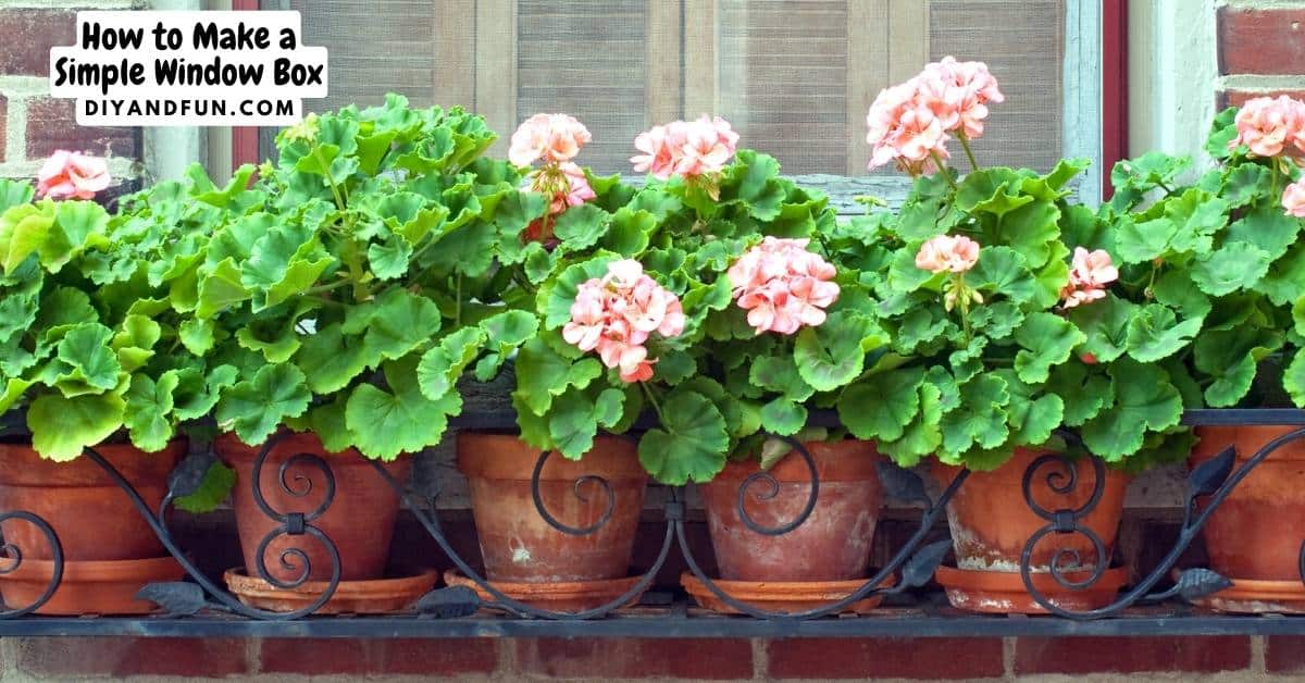 Potted Flowers outside of a window.