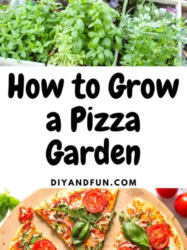 How to Grow a Pizza Garden