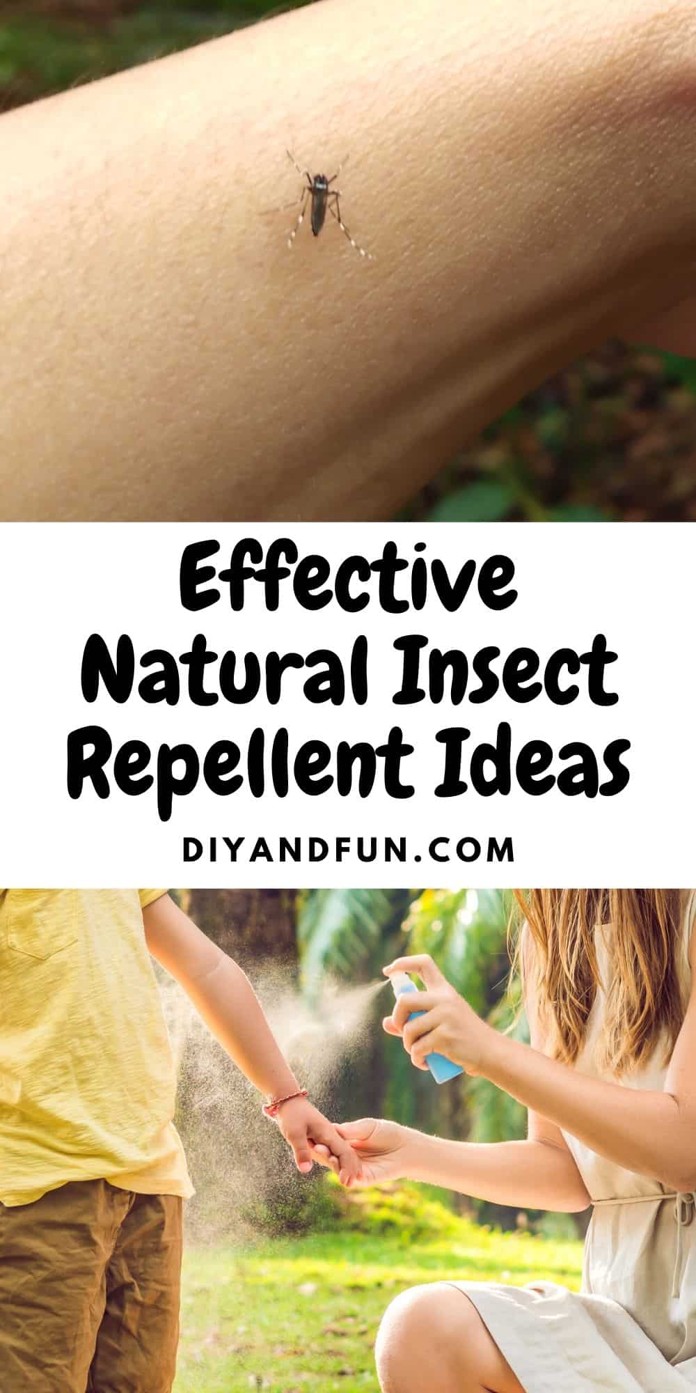 Effective Natural Insect Repellent Ideas, a simple DIY guide for making your own homemade repellents for bugs.