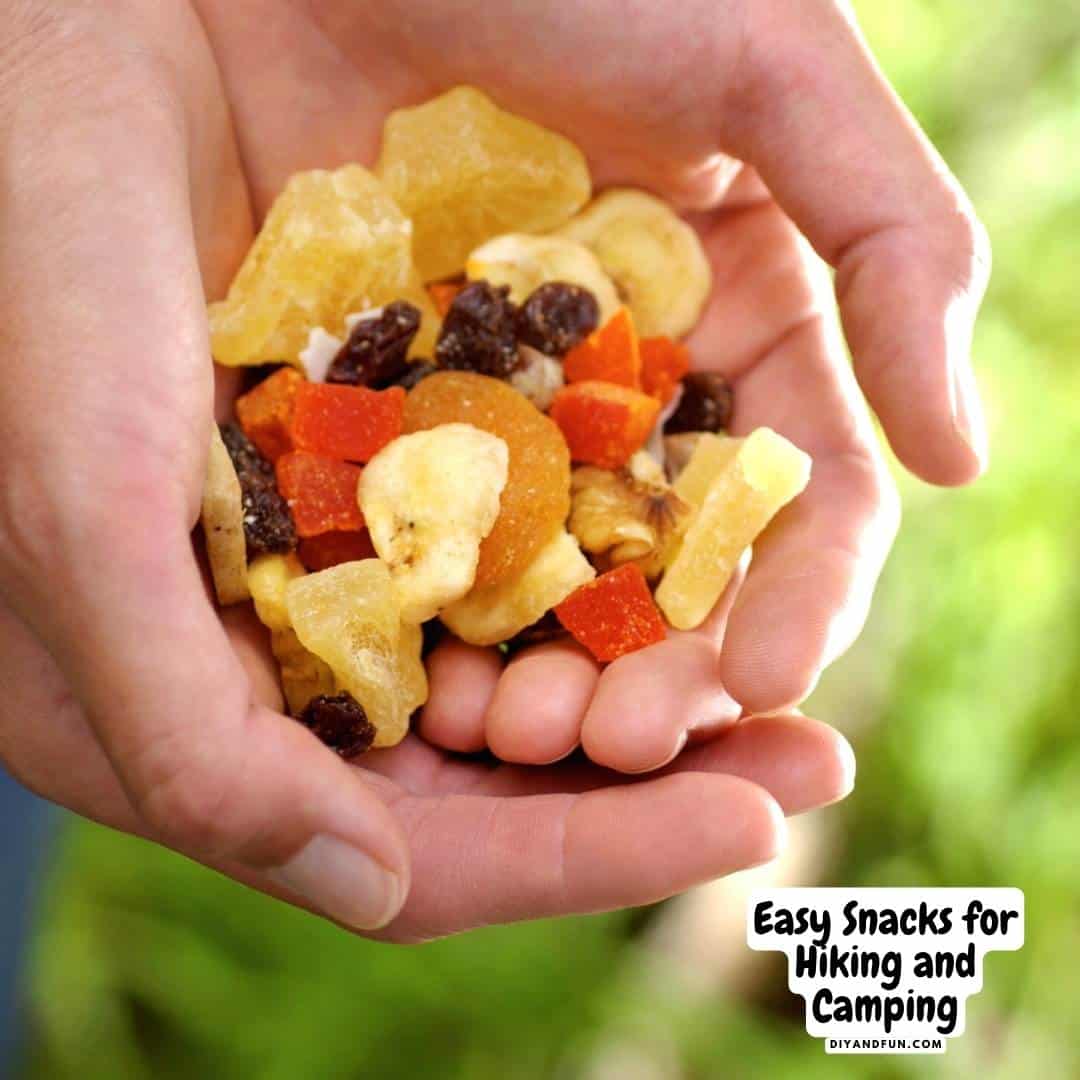 Easy Snacks for Hiking and Camping, 20 snack ideas and recipes for trips and vacations including heathier snacks.