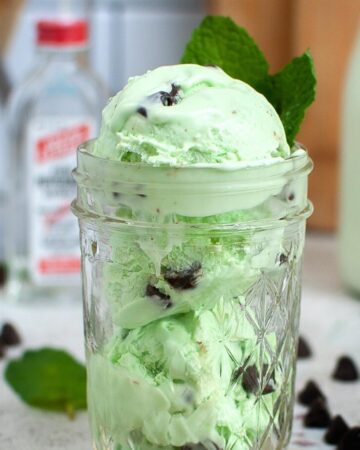 No Churn Mint Chocolate Chip Ice Cream