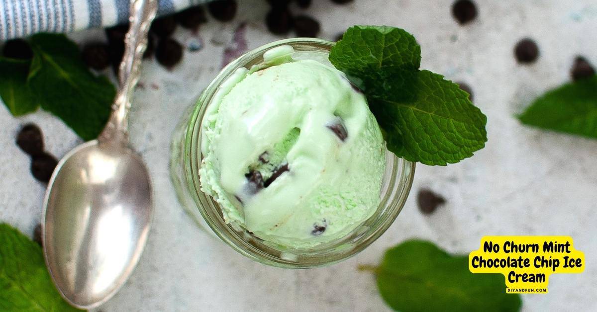 No Churn Mint Chocolate Chip Ice Cream, a simple and tasty recipe idea for making a popular frozen dessert .