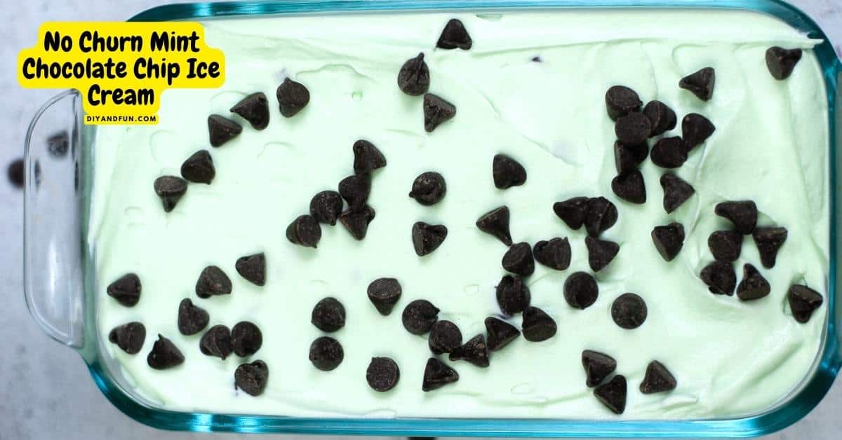 No Churn Mint Chocolate Chip Ice Cream, a simple and tasty recipe idea for making a popular frozen dessert .
