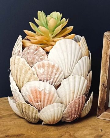 How to Decorate Pots with Seashells
