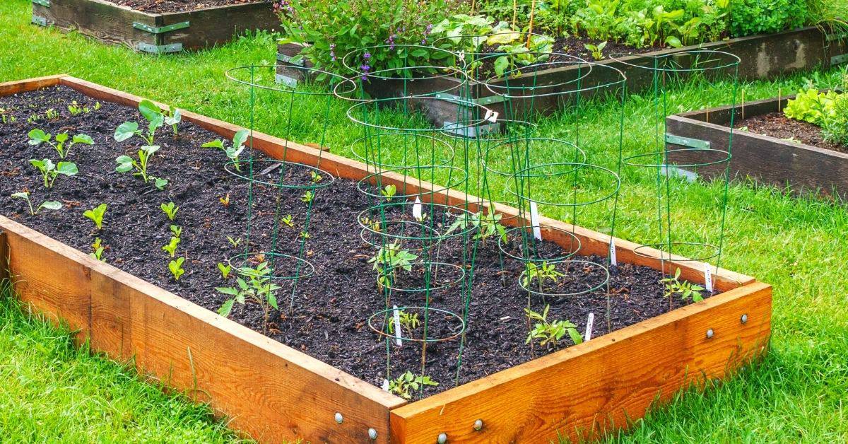 The Top Gardening Tips the Pros all Know- the simple garden hacks that anyone can follow for a better garden.