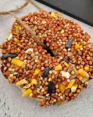 How to Make a Birdseed Bagel