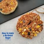 How to Make a Birdseed Bagel