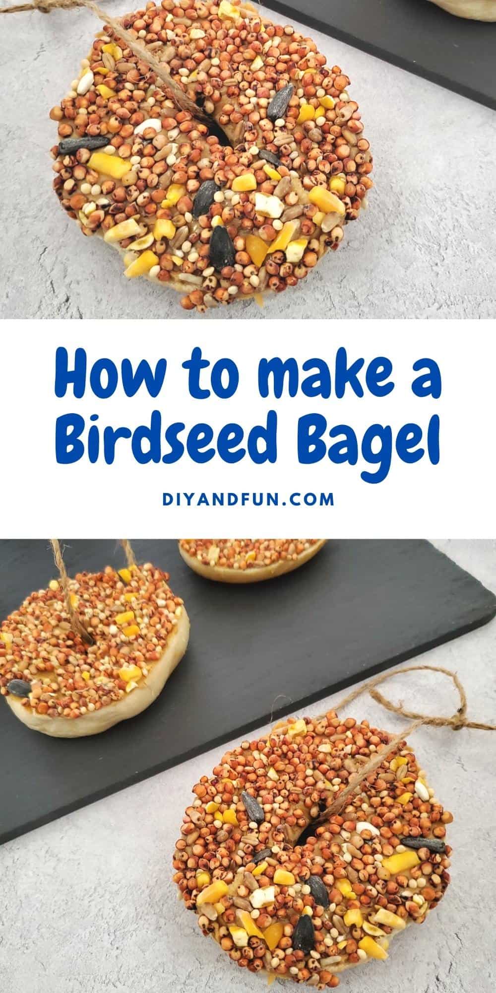How to How to Make a Birdseed Bagel, a simple DIY craft backyard idea that is suitable for most ages and is easy to do.