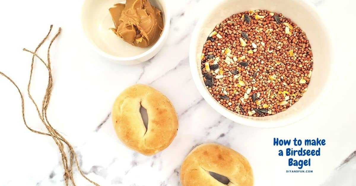How to How to Make a Birdseed Bagel, a simple DIY craft backyard idea that is suitable for most ages and is easy to do.