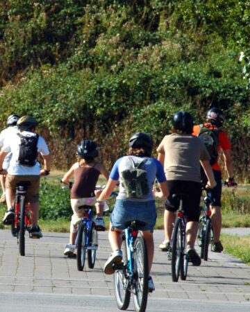 50 Cheap or Free Summer Activities for Families