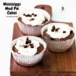 Mississippi Mud Pie Cakes