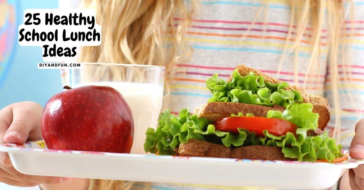 25 Healthy School Lunch Ideas, an extensive listing of school and work packable food ideas. Includes vegan, low carb, and no added sugar.