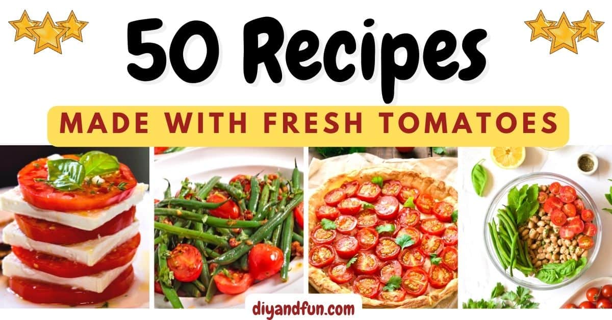 50 Recipes Made With Fresh Tomatoes. Features delicious recipes including appetizers, salads, soups, vegan, and Mediterranean diet!