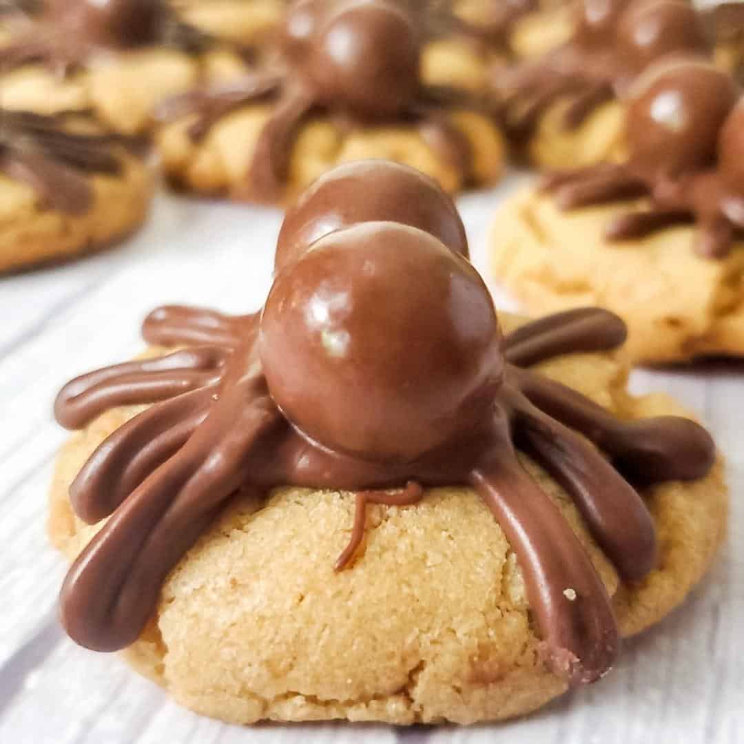 Easy Peanut Butter Spider Cookies, a simple Halloween inspired dessert recipe idea for  peanut butter cookies topped with chocolate spiders.