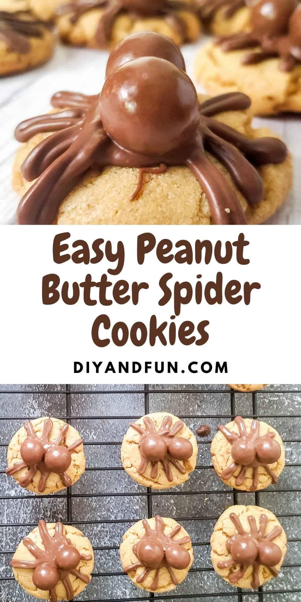 Easy Peanut Butter Spider Cookies, a simple Halloween inspired dessert recipe idea for  peanut butter cookies topped with chocolate spiders.