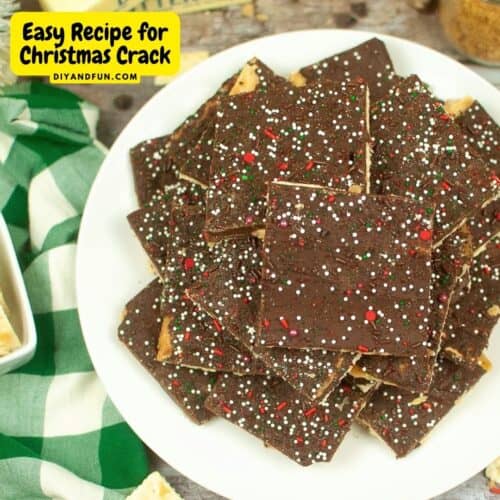 Easy Recipe for Christmas Crack - DIY and Fun