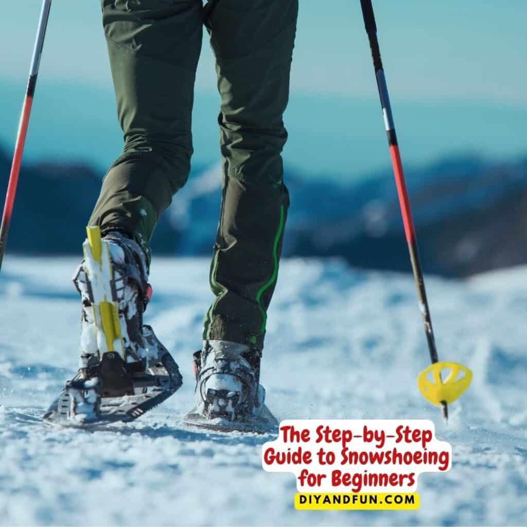 Easy Beginners Guide to Snowshoeing DIY and Fun