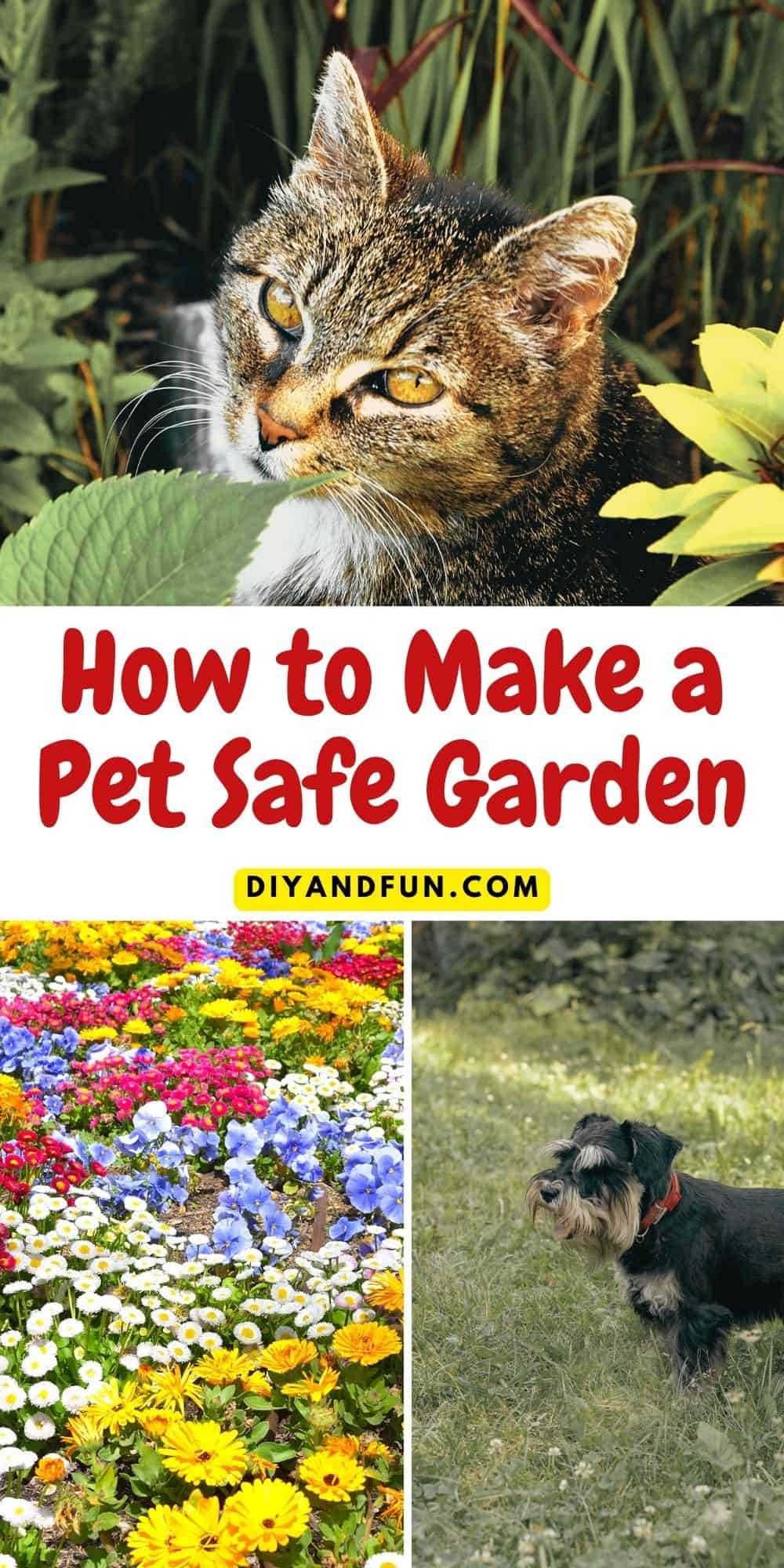 How to Make a Pet Safe Garden, a simple guide for making your backyard and garden safe for furry friends. Includes pet-safe plants.