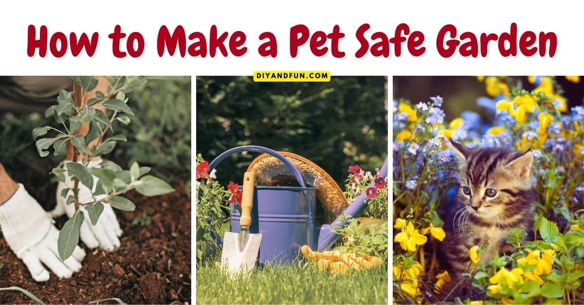 How to Make a Pet Safe Garden, a simple guide for making your backyard and garden safe for furry friends. Includes pet-safe plants.