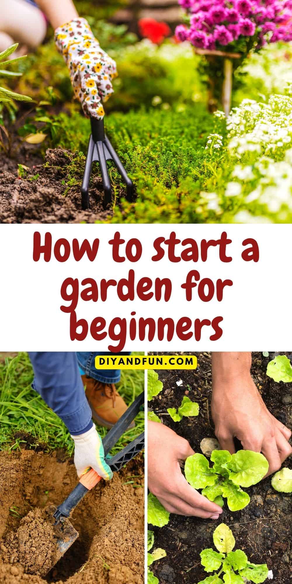 How to start a garden for beginners, a simple guide for designing and planting a flower garden that is easy to care for.